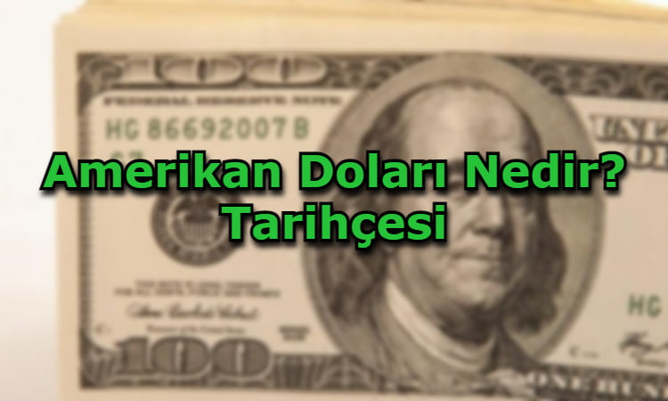 Amerikan Doları Nedir? Tarihçesi