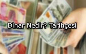 Mantar Yetiştiriciliği Hibe Desteği Nasıl Alınır?