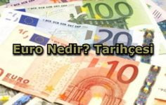 Euro Nedir? Tarihçesi