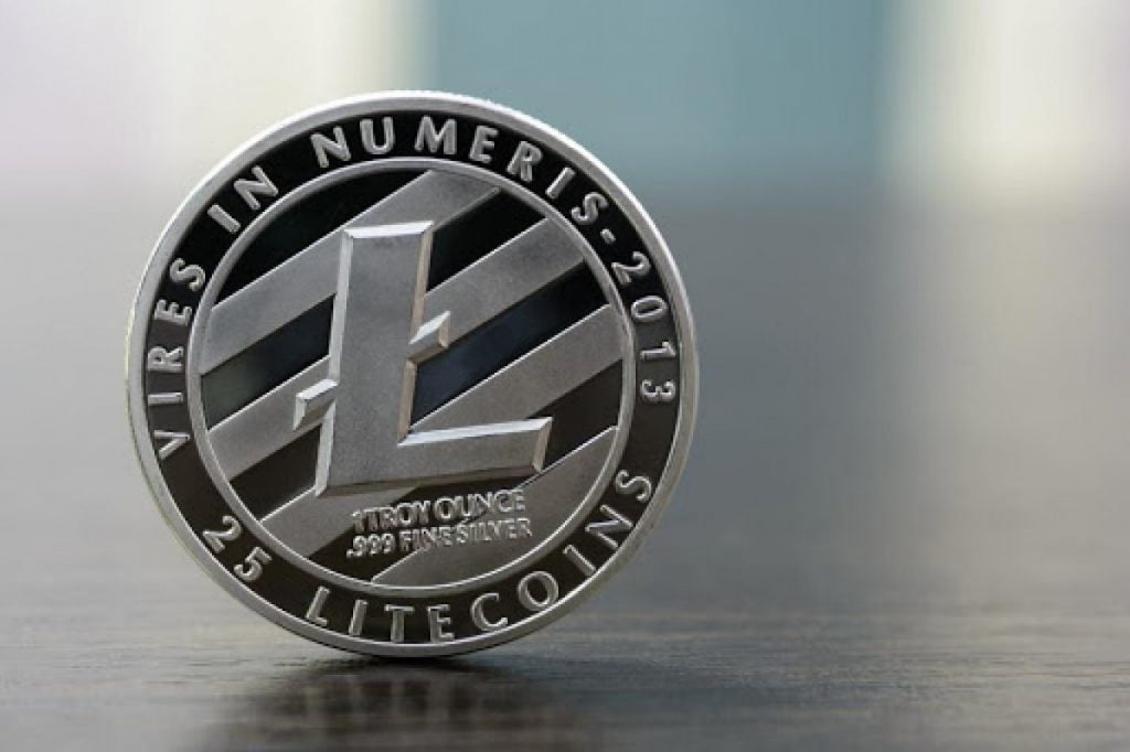 litecoin dolar karsisinda degeri
