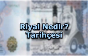 Mantar Yetiştiriciliği Hibe Desteği Nasıl Alınır?