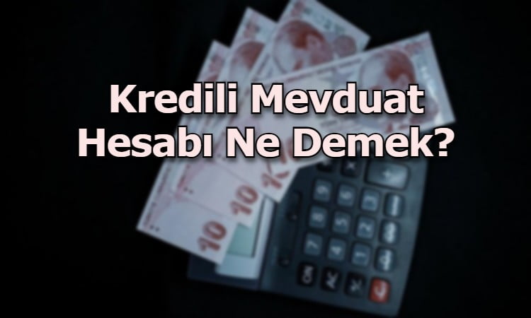 Kredili Mevduat Hesabı Ne Demektir?