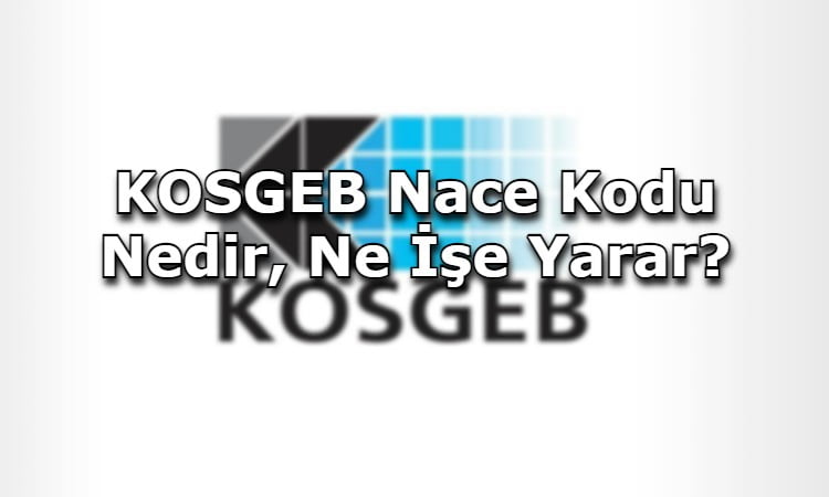 KOSGEB Nace Kodu Nedir, Ne İşe Yarar?