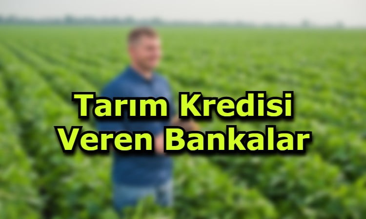 Tarım Kredisi Veren Bankalar