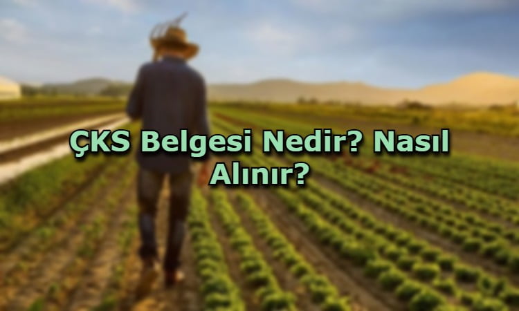 ÇKS Belgesi Nedir? Nasıl Alınır?