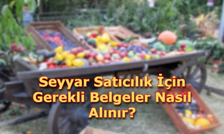 Seyyar Satıcılık İçin Gerekli Belgeler Nasıl Alınır?