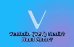 VeChain (VET) Nedir? Nasıl Alınır?