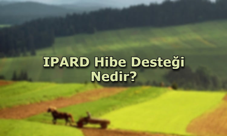 IPARD Hibe Desteği Nedir?