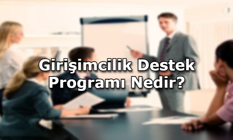 Girişimcilik Destek Programı Nedir?