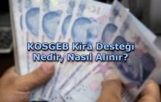 KOSGEB Kira Desteği Nedir, Nasıl Alınır?