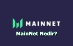 MainNet Nedir?