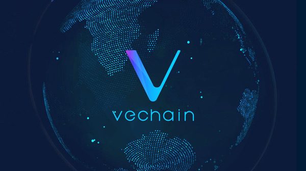 vet coin tanimi