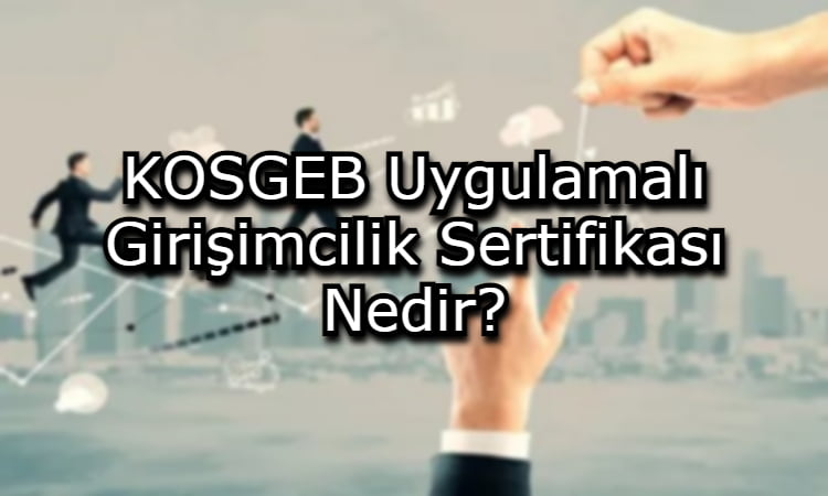 KOSGEB Uygulamalı Girişimcilik Sertifikası Nedir?