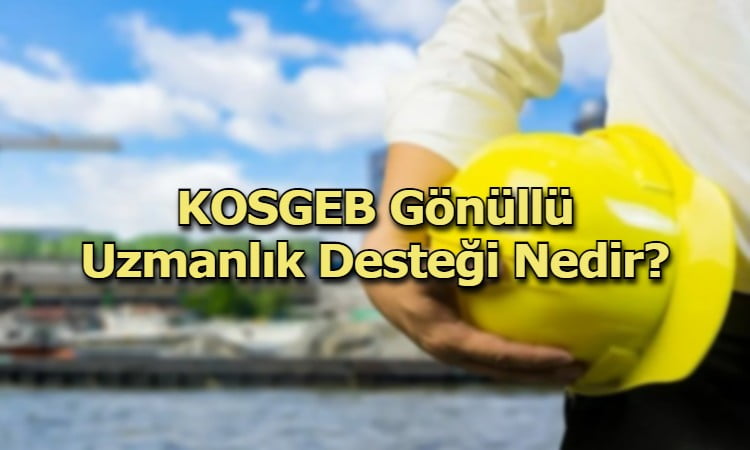 KOSGEB Gönüllü Uzmanlık Desteği Nedir?