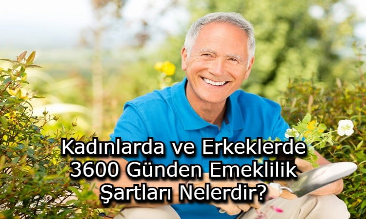 Kadınlarda ve Erkeklerde 3600 Günden Emeklilik Şartları Nelerdir?