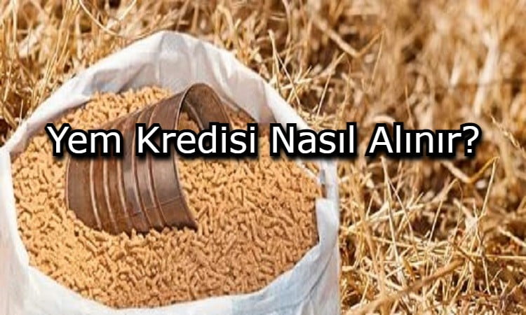 Yem Kredisi Nasıl Alınır?