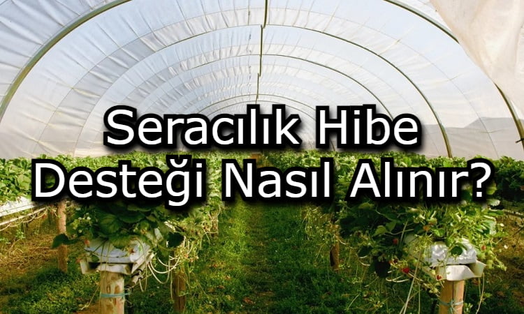 Seracılık Hibe Desteği Nasıl Alınır?